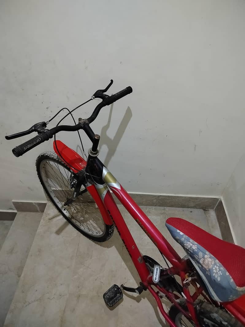 bicycle 2