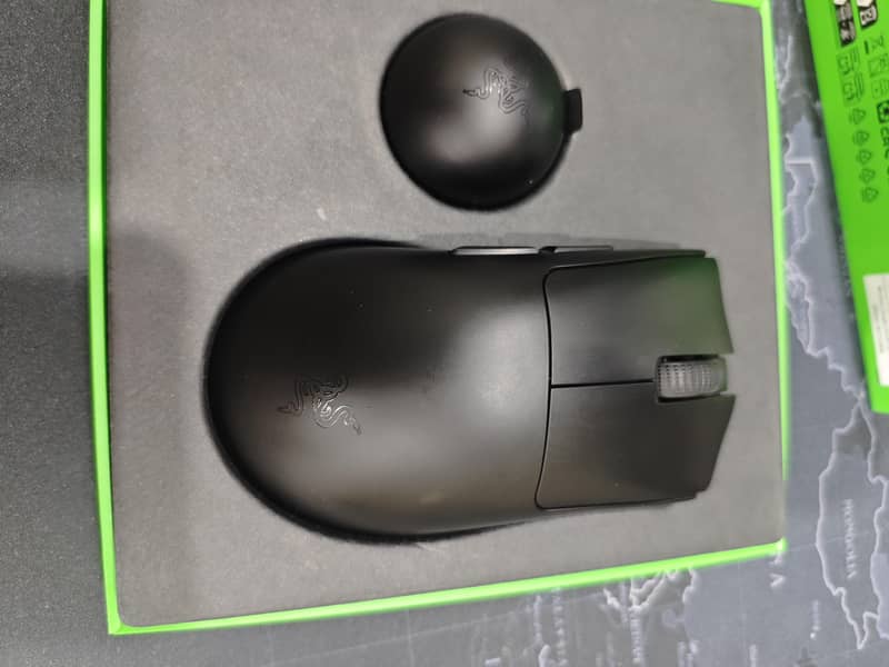 Razer Deathadder v4 pro 1