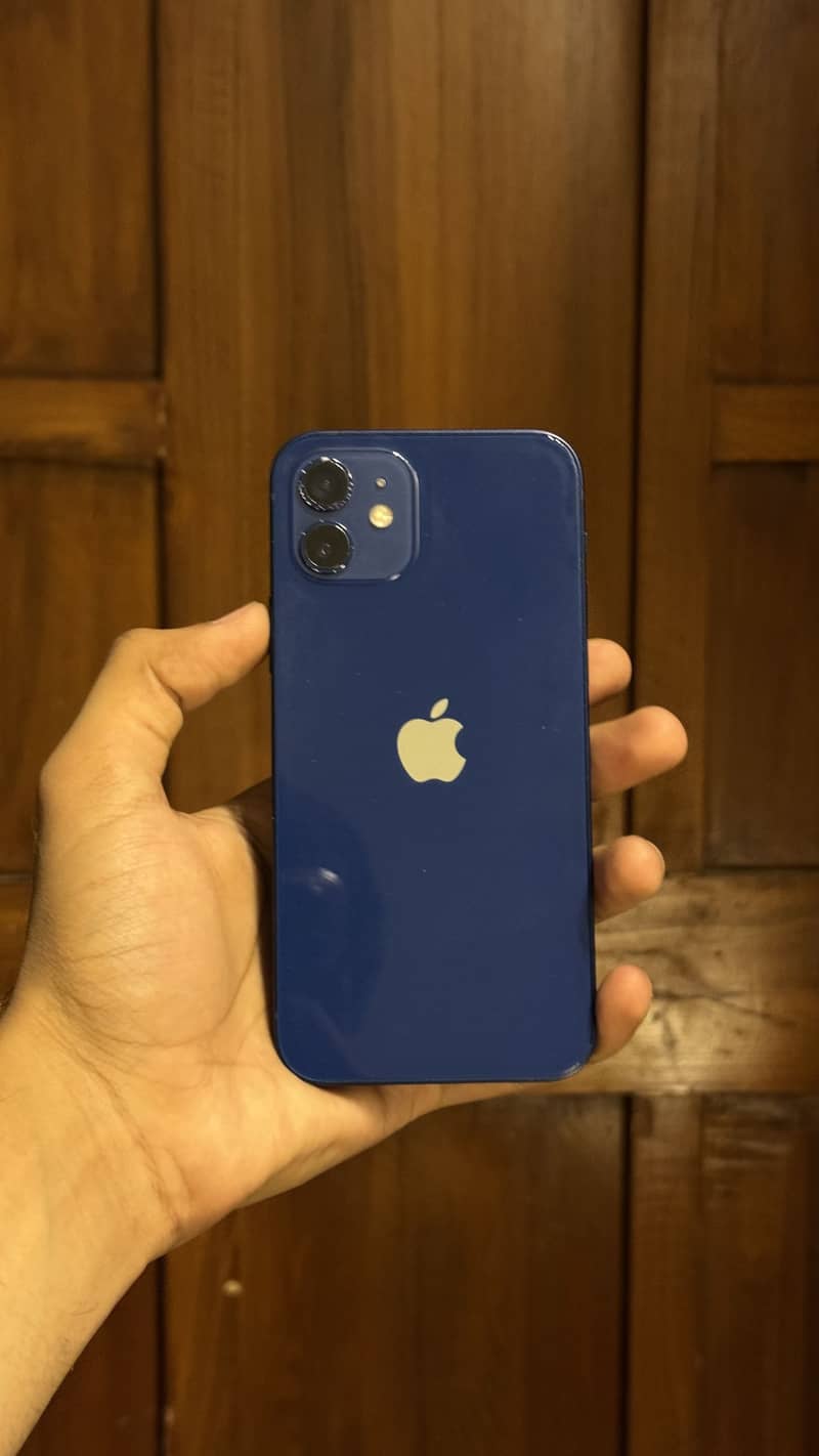 iPhone 12 1