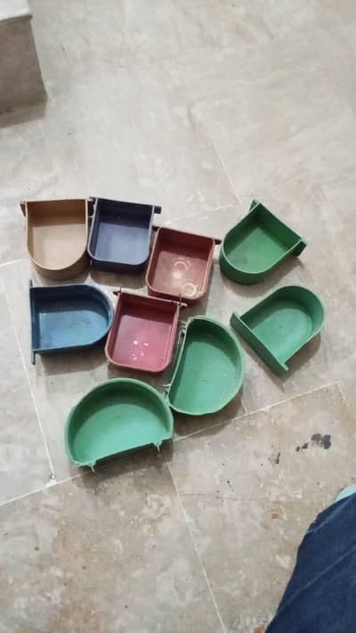 pots of seeds