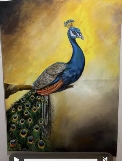 Peacock