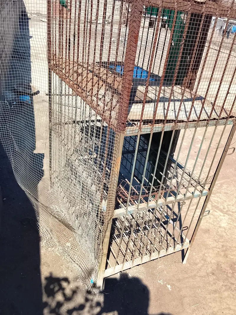 lLarge cage pinjra 4 potions for hens love birds parrot — photo 2
