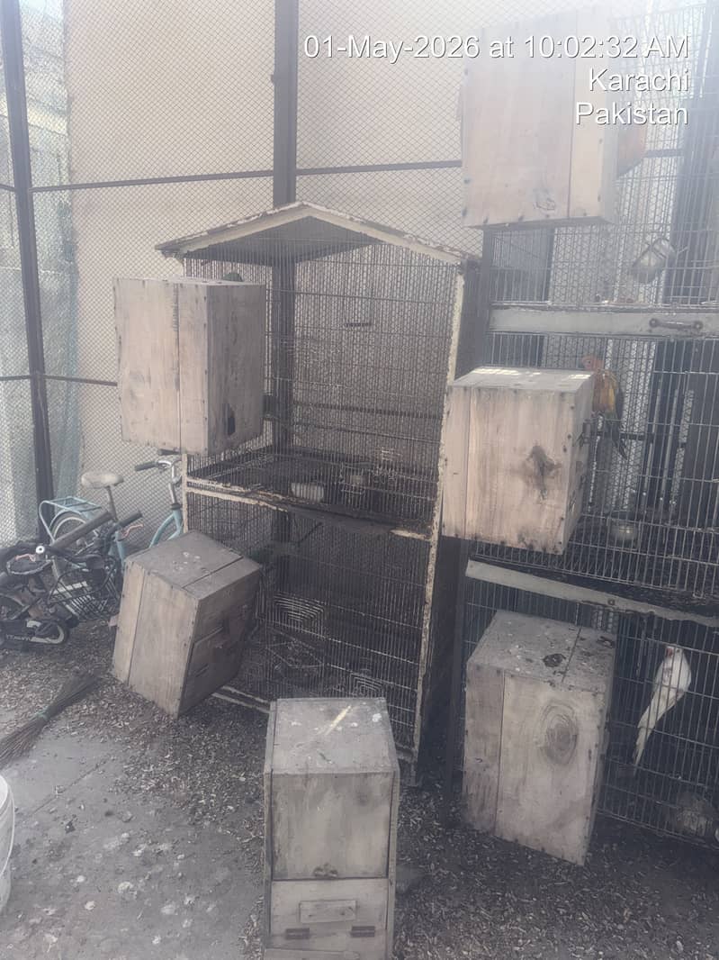 Cages 0
