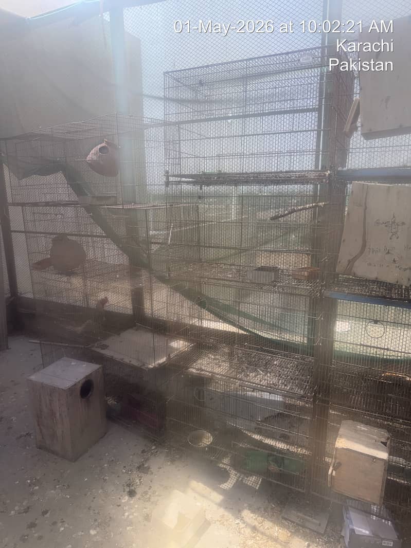 Cages 2