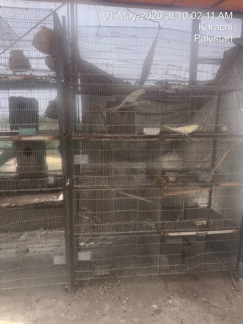 Cages 3