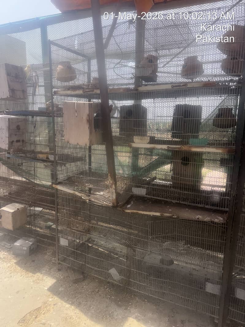 Cages 7