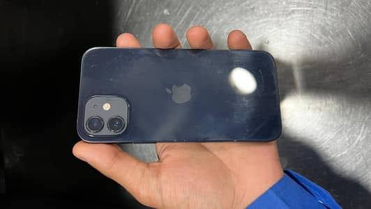 I phone 12
