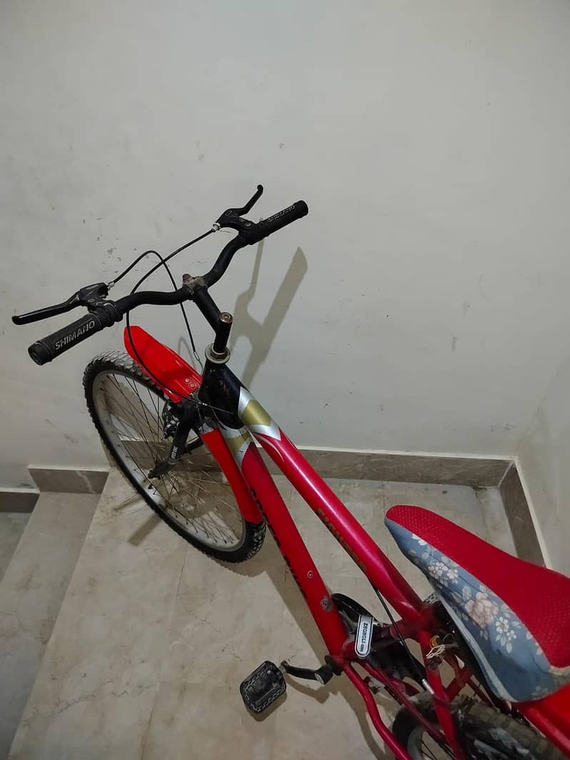 bicycle 1