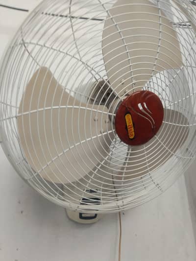 Bracket Fan