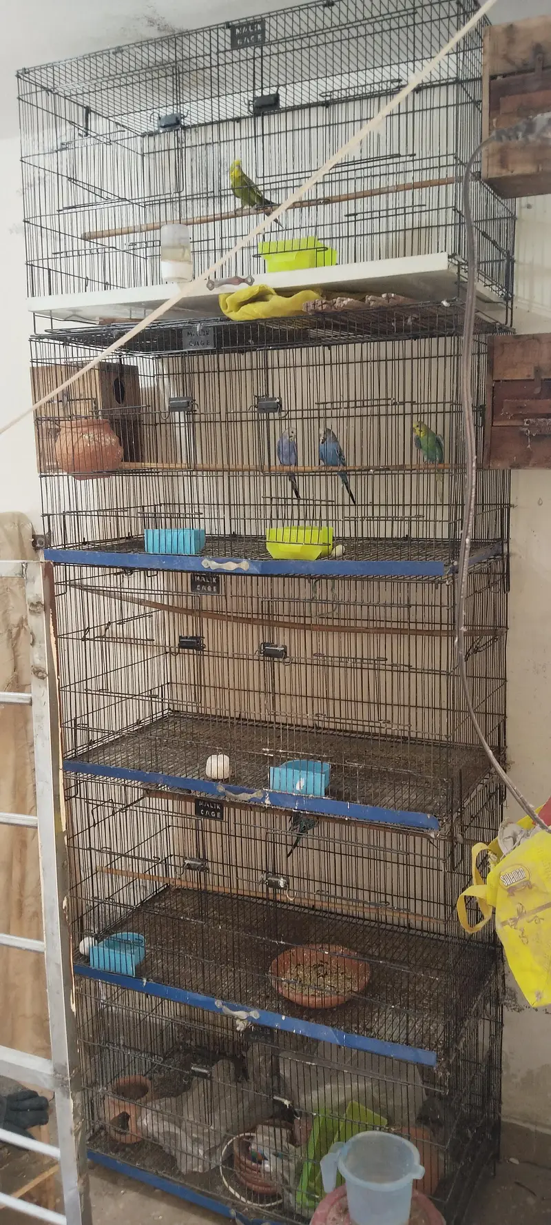 used cages for birds — photo 2