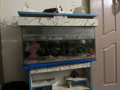 Fish aquarium for sale galss ok h sheet nichy sy minor si ruf ha