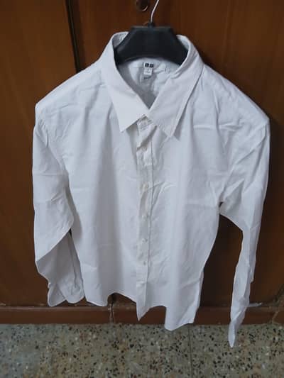 Men's shirt Collection