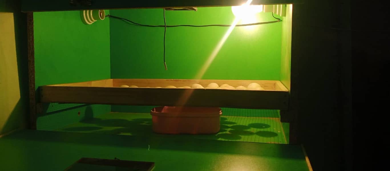 Incubator machine 100 eggs 3