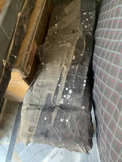 Condition new wali