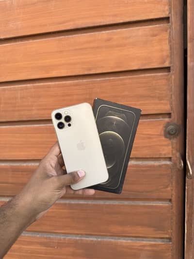 iPhone 12 Pro Max PTA approved