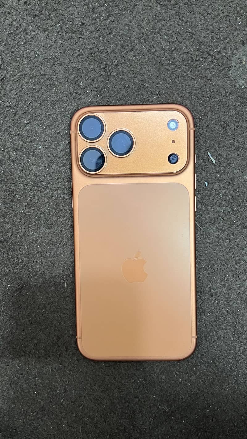 17 pro max 1