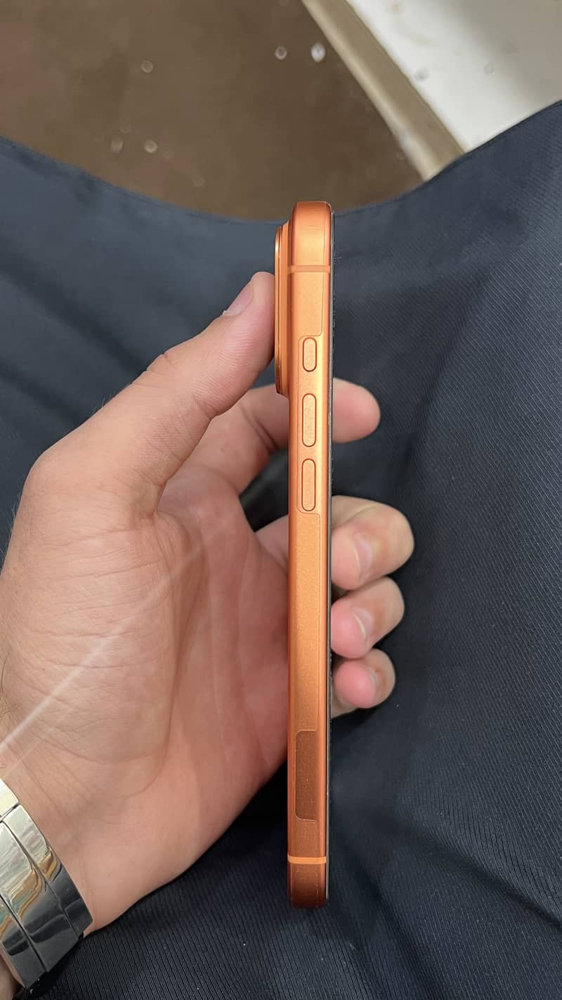 17 pro max 4