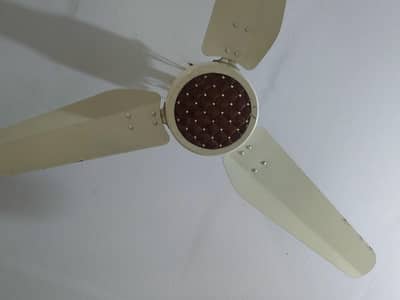 Royal Fan 60w