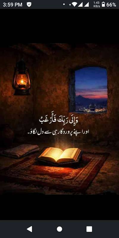 Jamshaid Ul Hassan 