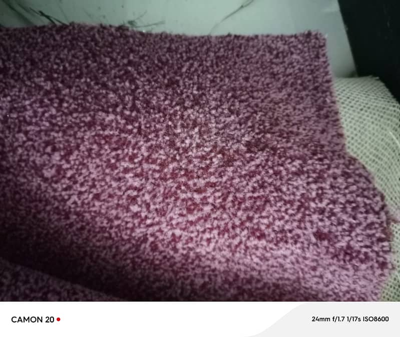 Carpet 0