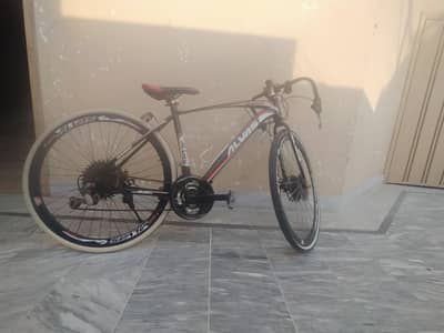 Hybrid Bicycle Electric and Manual