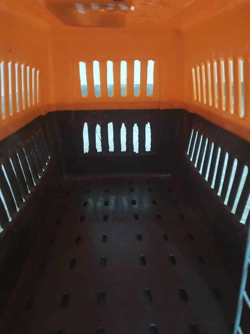 cat cage 0