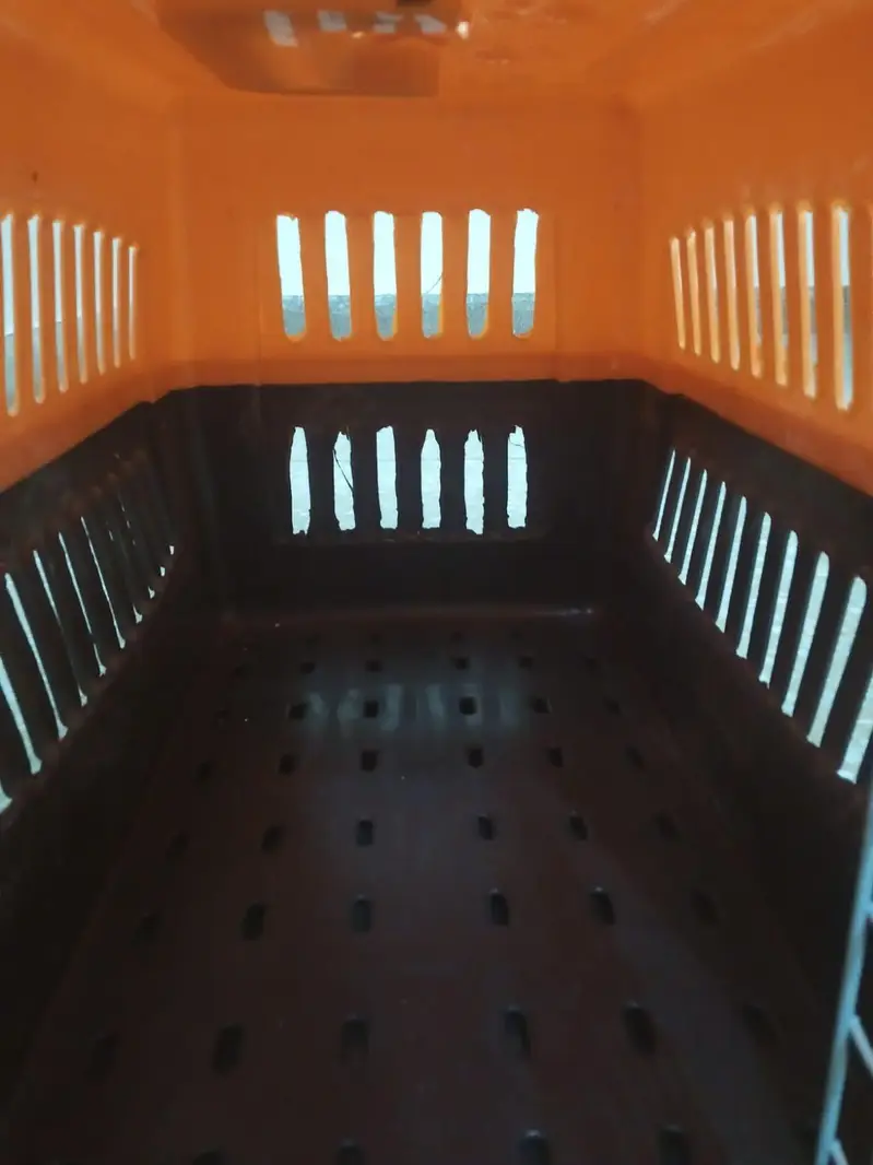 cat cage