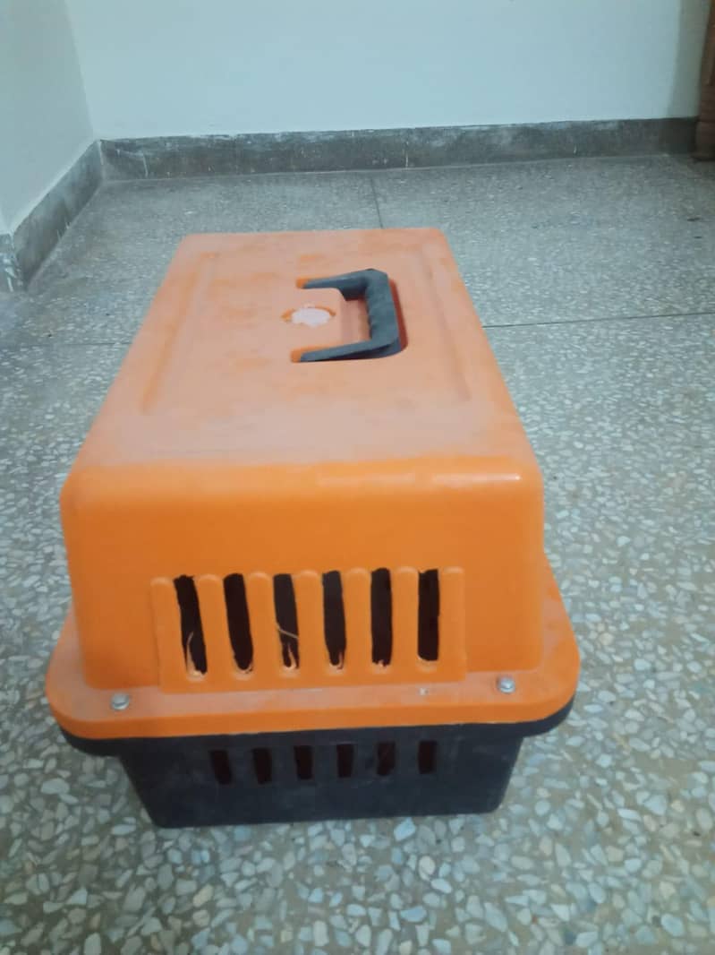 cat cage 1