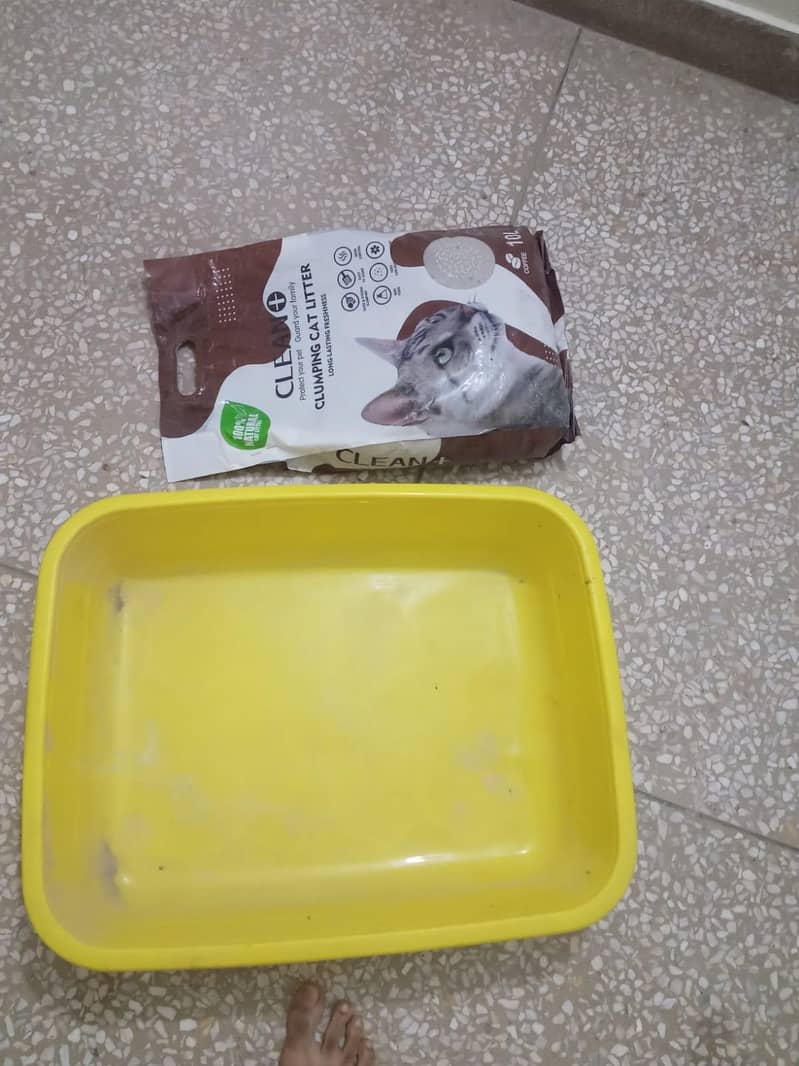cat cage 4