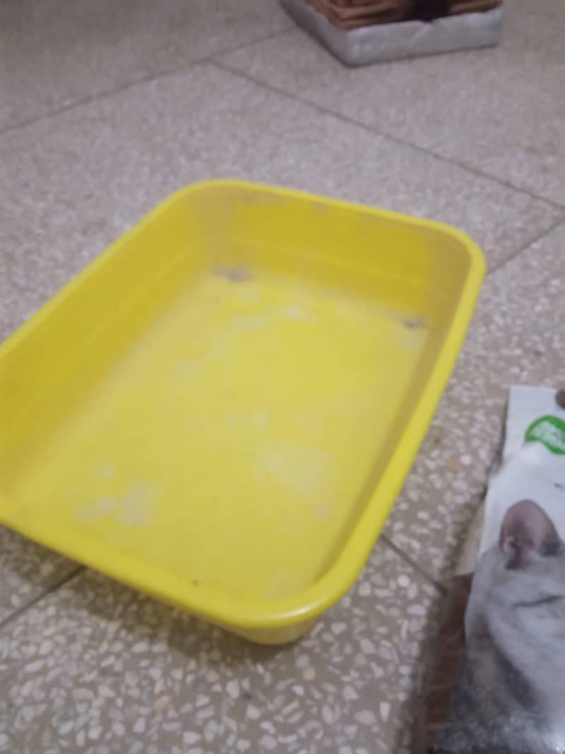 cat cage 5