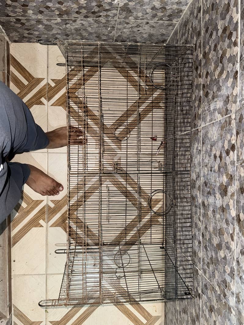 2 portion cage 0