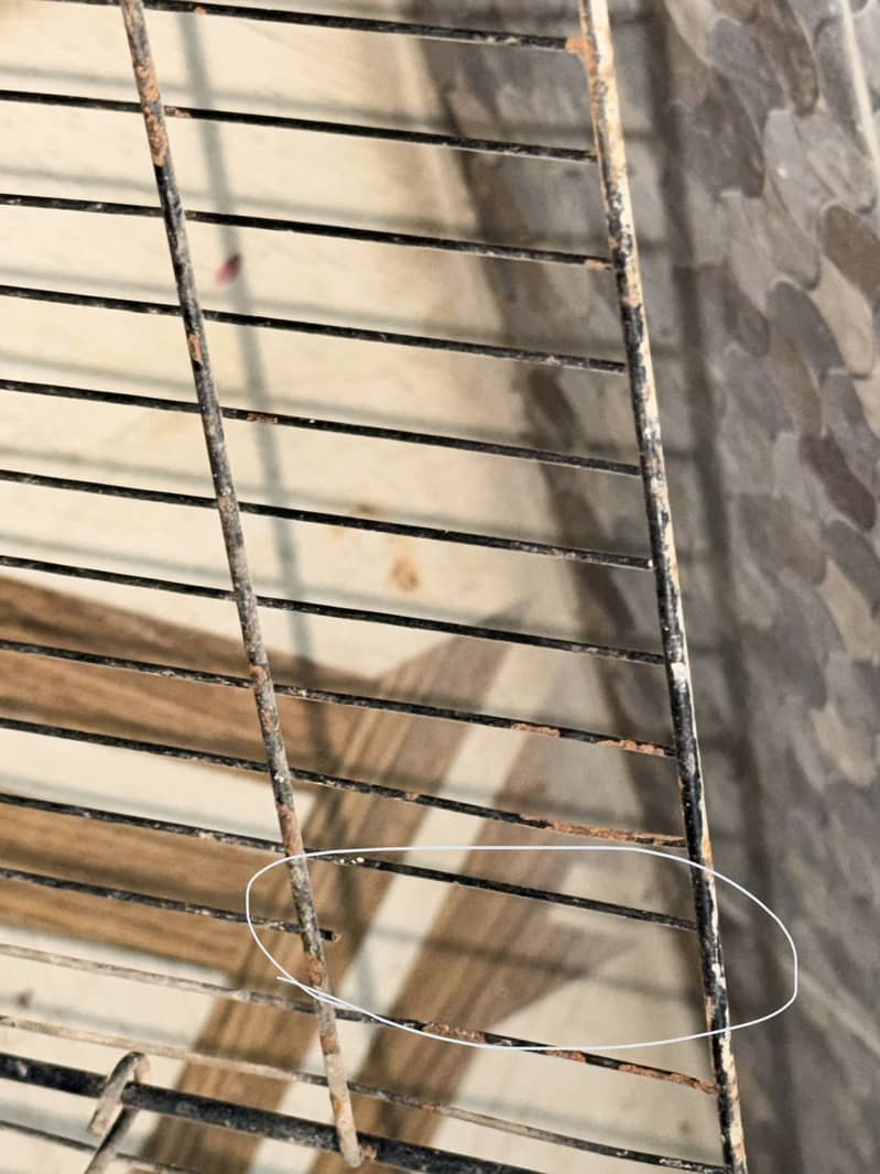 2 portion cage 4
