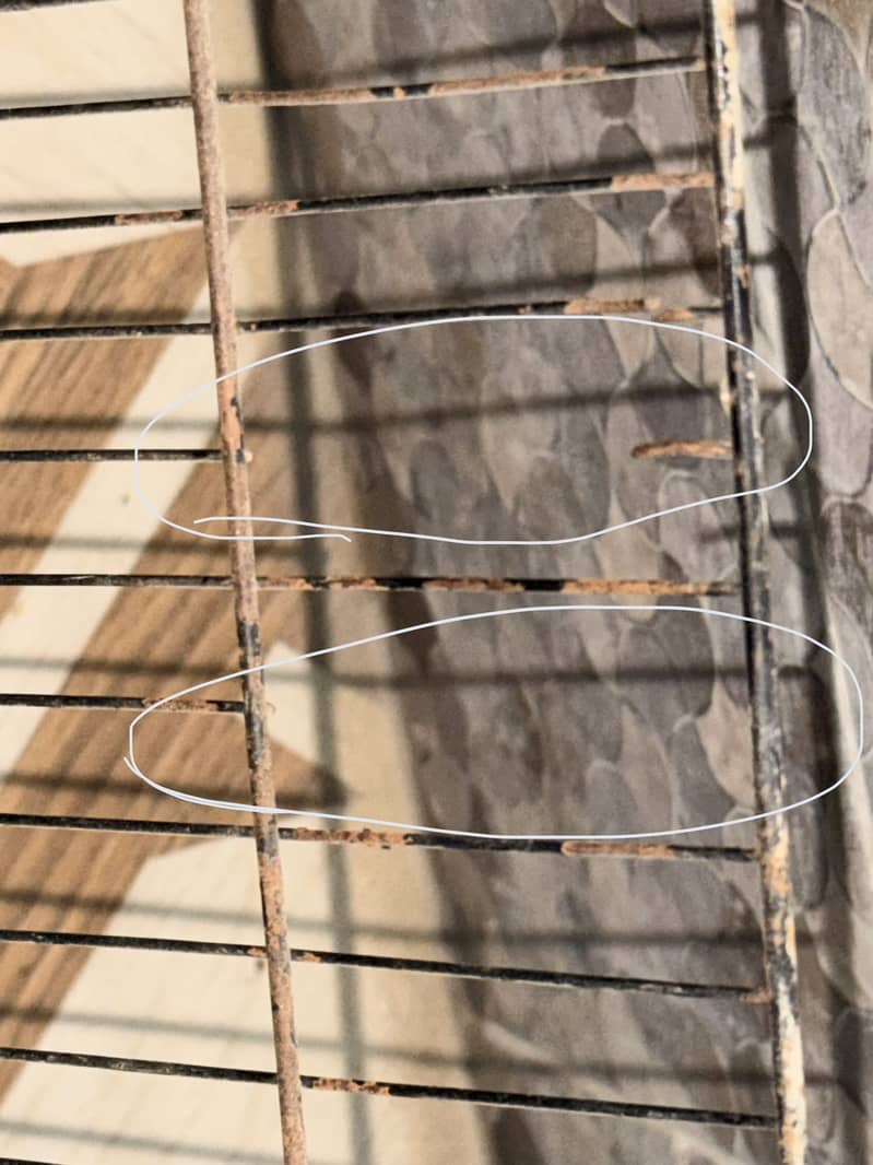 2 portion cage 5