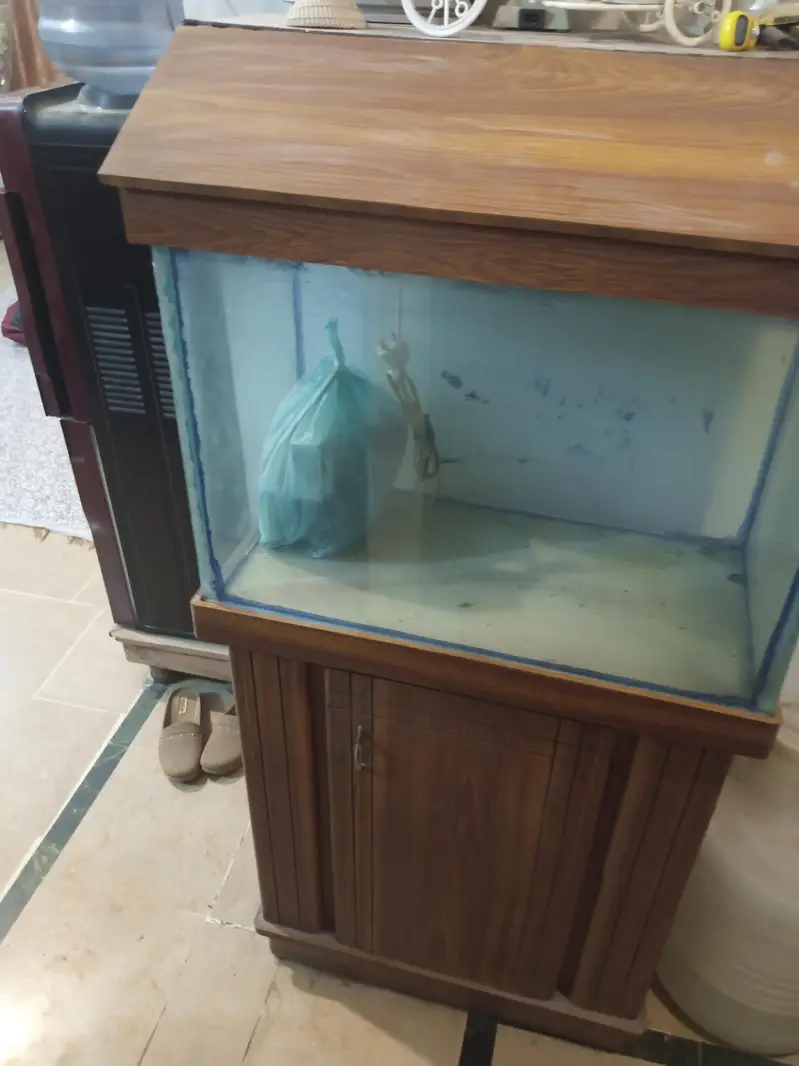 Aquarium with filtration units &oxygen supply Gear& wooden drass stand — photo 4