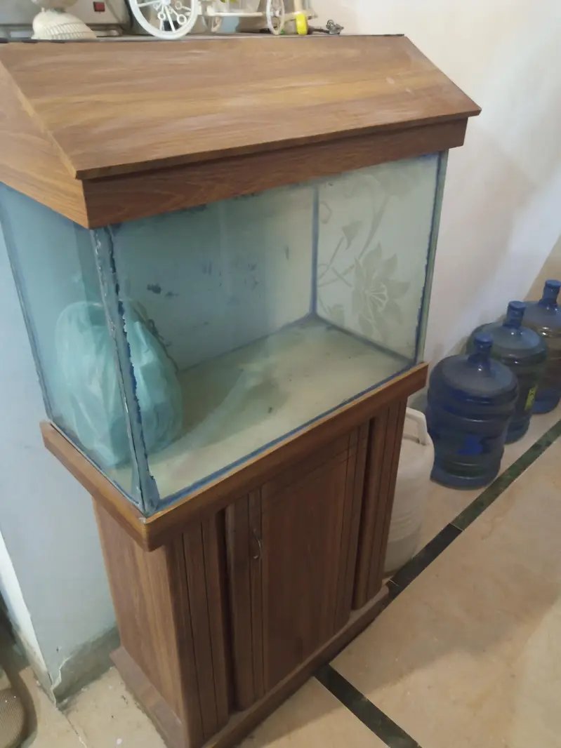 Aquarium with filtration units &oxygen supply Gear& wooden drass stand — photo 5