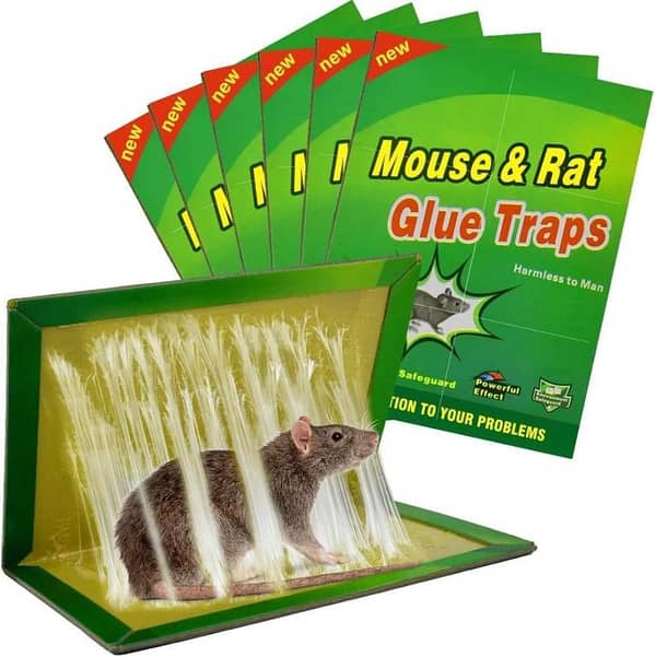 2 Pcs Mouse and Rat Glue Sticky Trap Board Pad