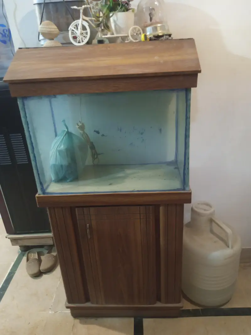 Aquarium with filtration units &oxygen supply Gear& wooden drass stand — photo 7