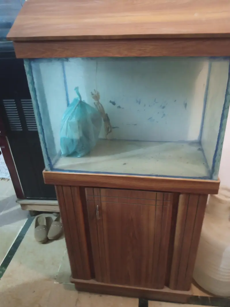 Aquarium with filtration units &oxygen supply Gear& wooden drass stand — photo 8