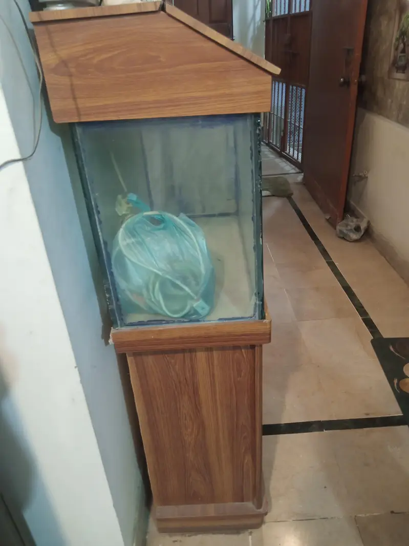 Aquarium with filtration units &oxygen supply Gear& wooden drass stand — photo 9