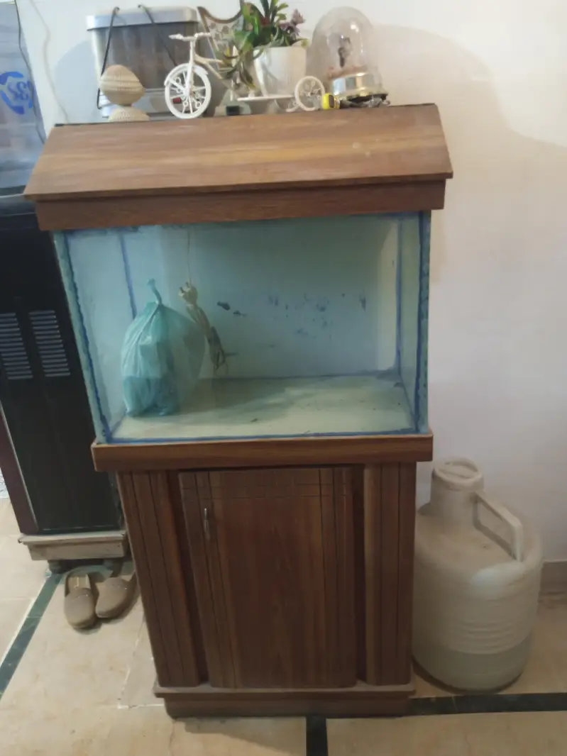 Aquarium with filtration units &oxygen supply Gear& wooden drass stand — photo 10