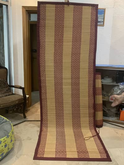 Stylish curtains 2pieces