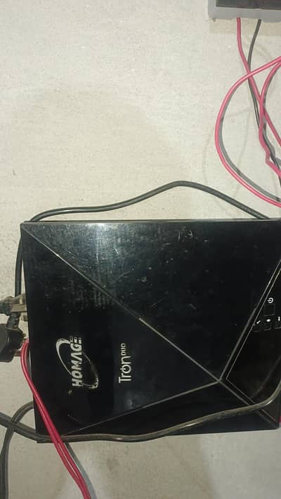 HOMAGE LUSH CONDITION SOLAR UPS