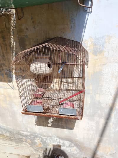cage for sale