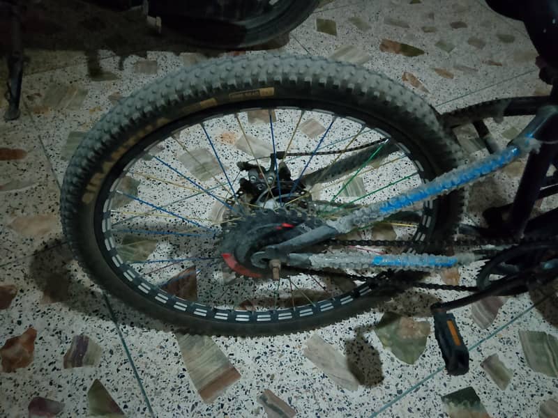 kid cycle 2