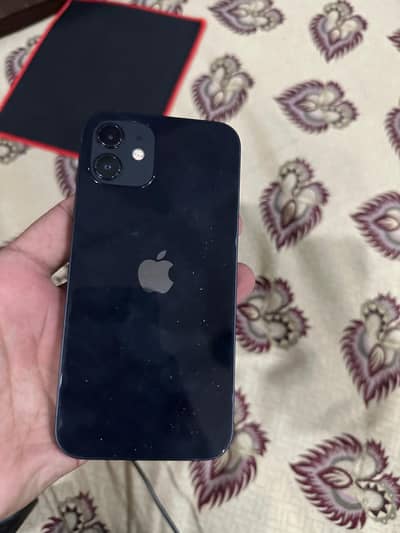 iPhone 12 pta approved