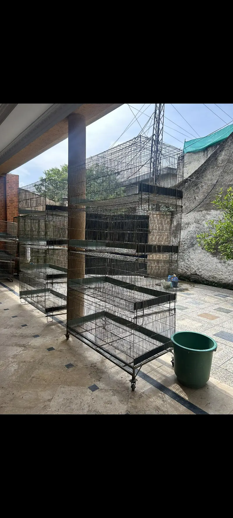 large Size Cages: 03276009655 — photo 3