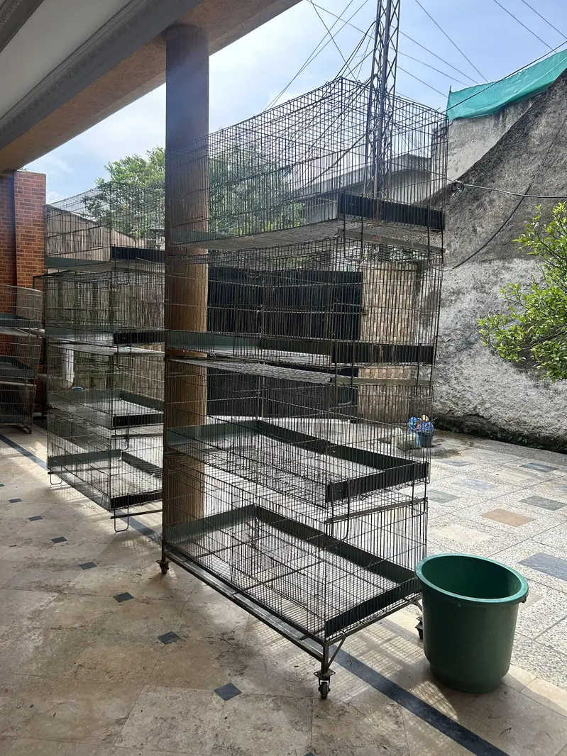 large Size Cages: 03276009655 — photo 8