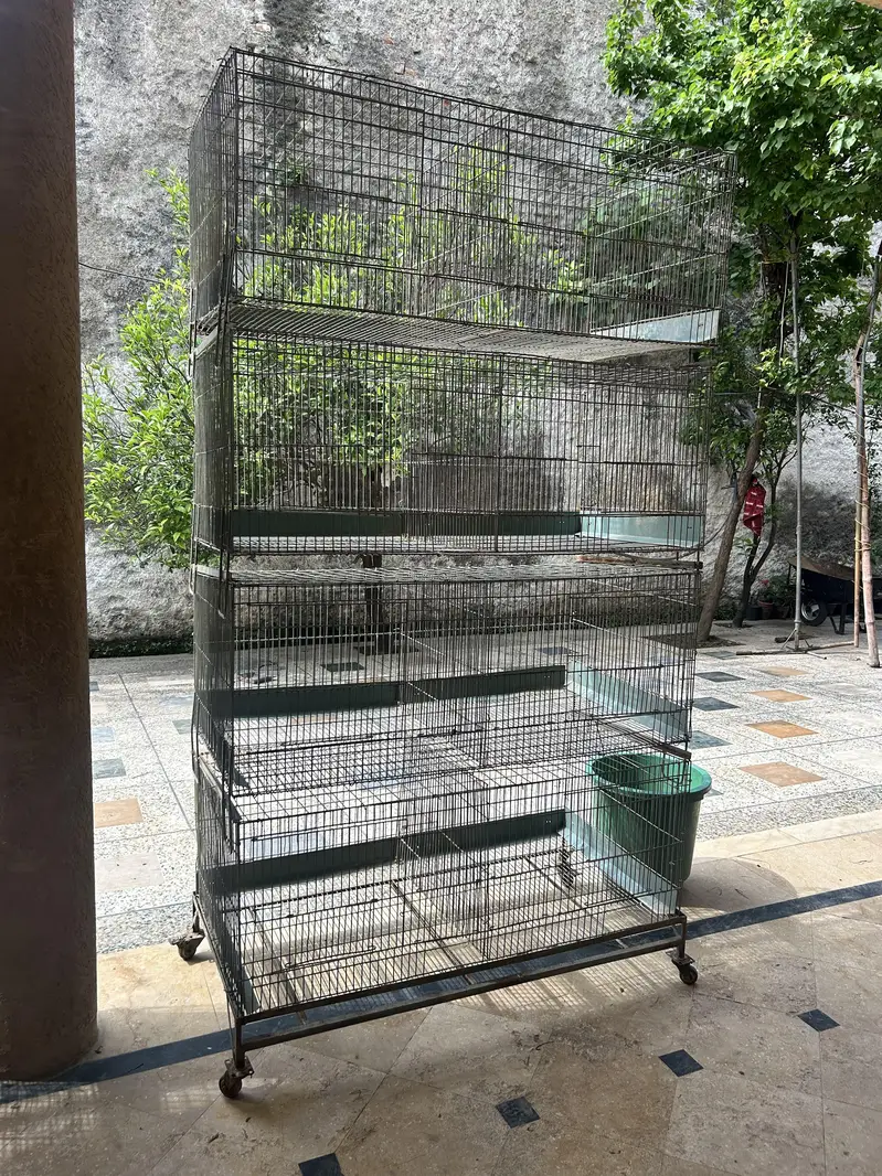 Large Size Quality Cages. 03276009655 — photo 7