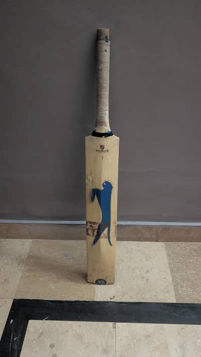 Hard Ball Bat