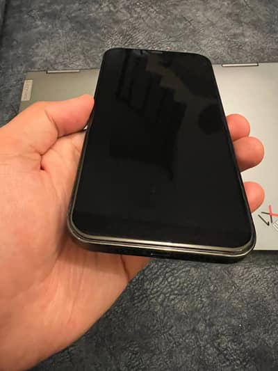 Iphone 12 Pro Max 256GB